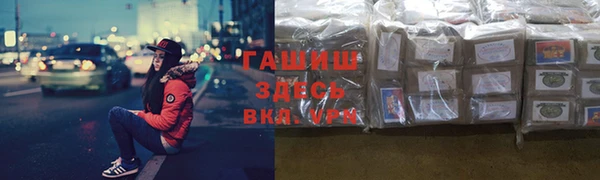 сатива Болхов