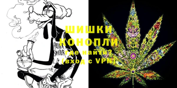 молекула духа Новодвинск