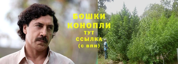 молекула духа Новодвинск