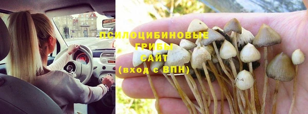 дурь Нефтегорск