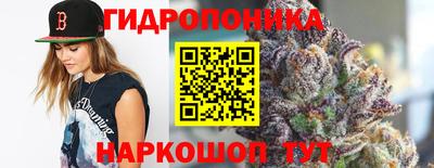 шишки Абинск