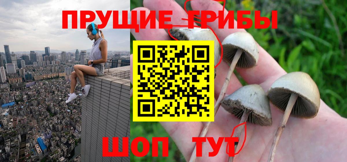 Апшеронск  Псилоцибиновые грибы мицелий  Вход с VPN  Галлюциногенные грибы мухоморы 